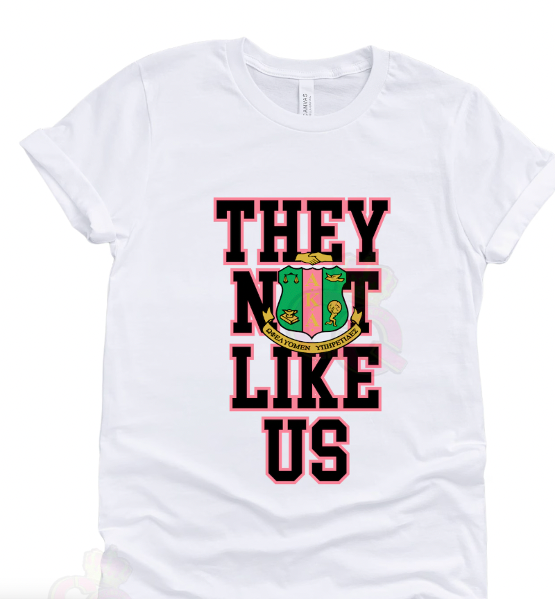 They not like us DTF Transfer