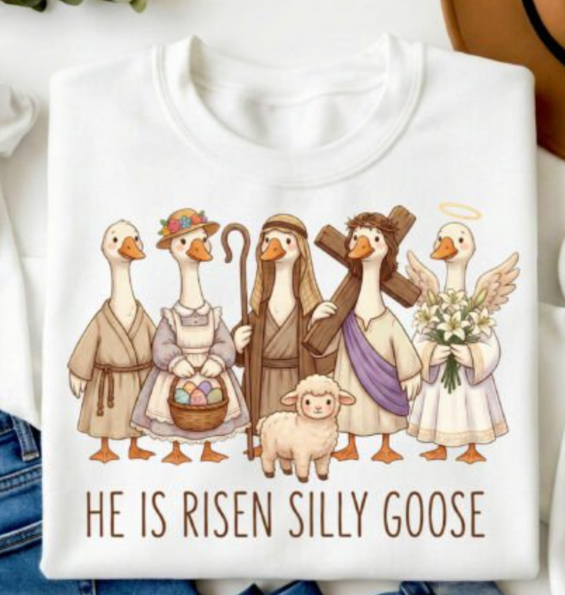 He is Risen Silly Goose Funny Easter DTF Transfers