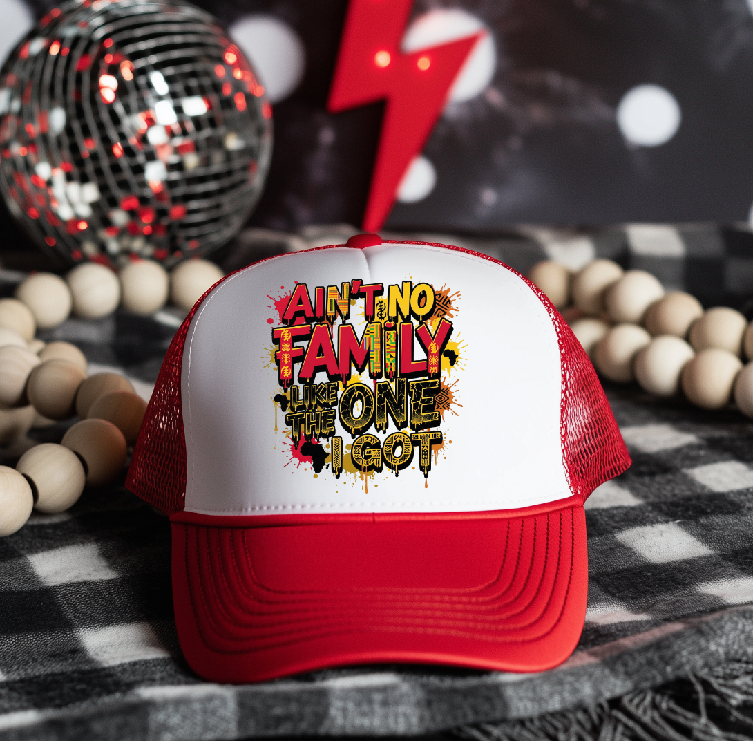 Aint no Family Like the One I got DTF Hat Transfer