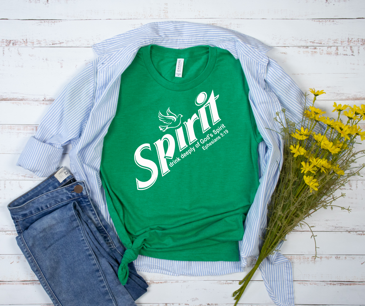 Spirit T-shirt (hat not included )