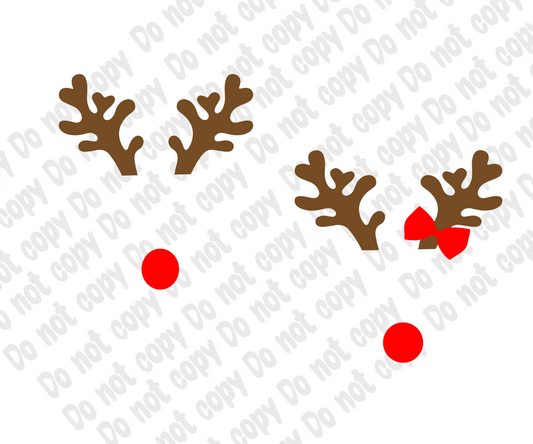 Rudolph  (she or he) Transfer