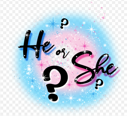 He or She Transfer
