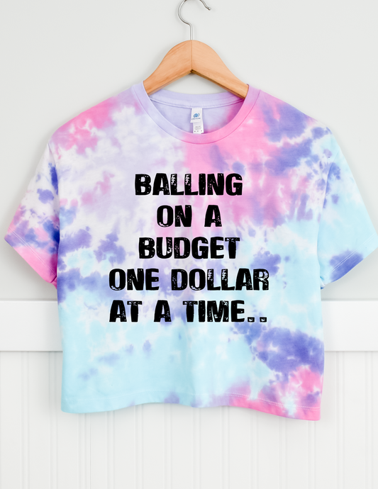 BALLING ON BUDGET ONE DOLLAR AT A TIME Screen Print