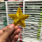 Yellowish/ Gold  Star Custom Embroidered Hat Patches for Trucker Hats | Iron On