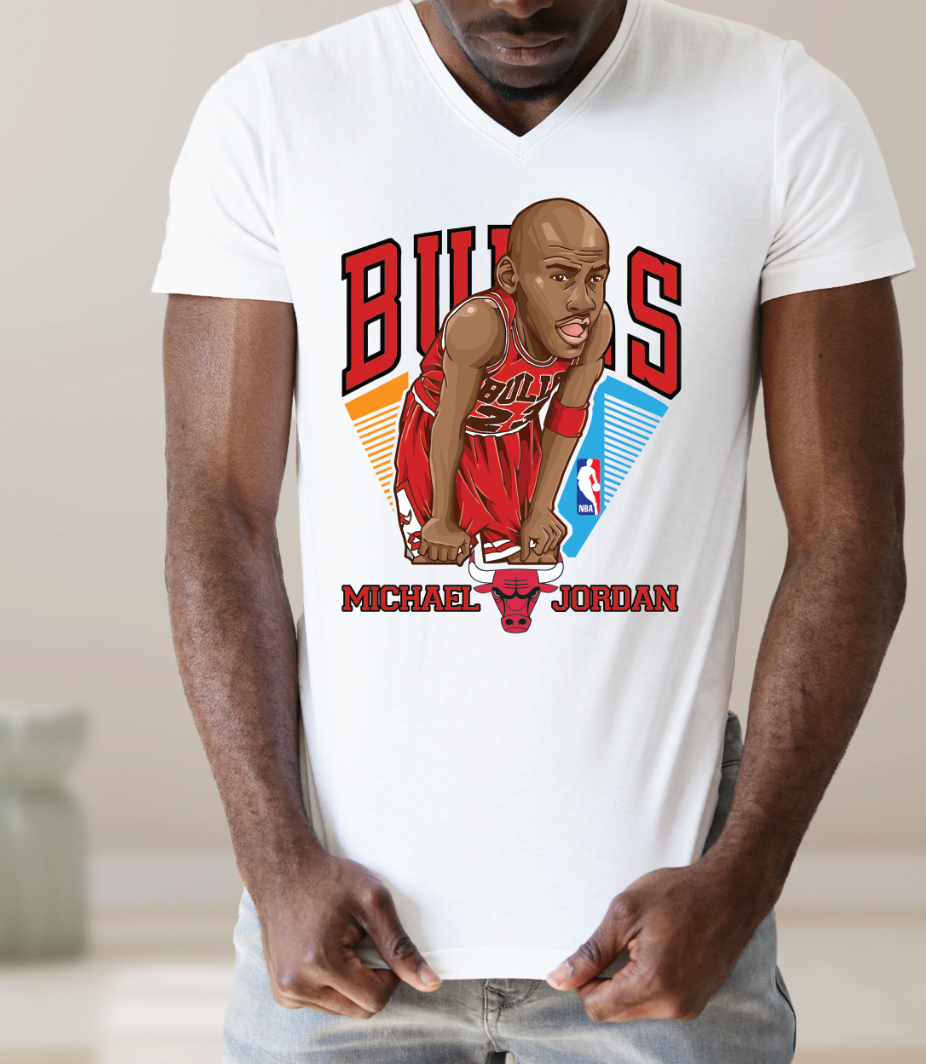 Bulls Transfer