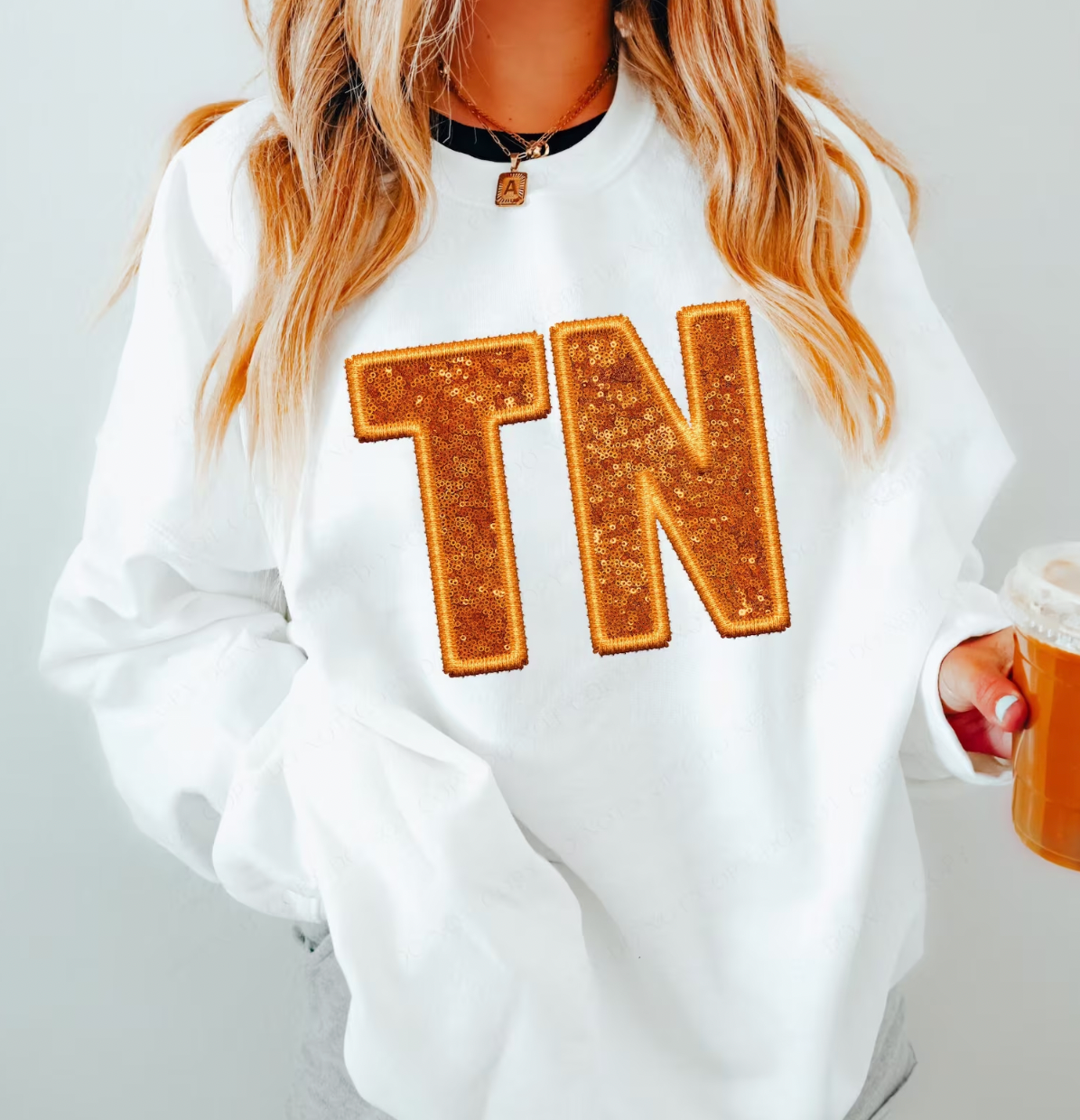 TN Tennesse  Embroidery Sequin Transfer