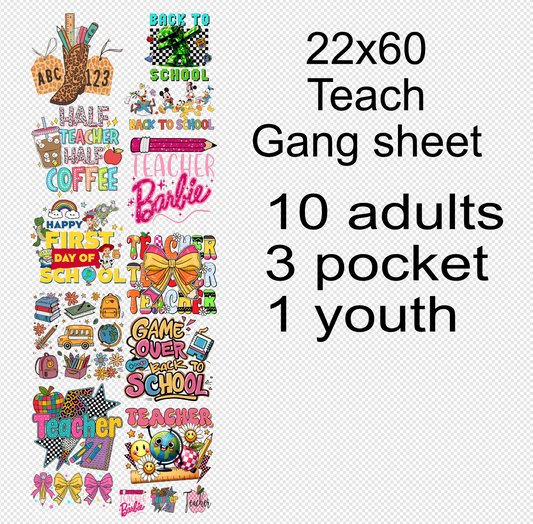22x60 Teach 4 Transfer