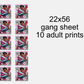22x56 Joy to the Lord  DTF Gang Sheet
