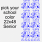 Senior 26 22x48 Gang Sheet Transfer Pick your School Color