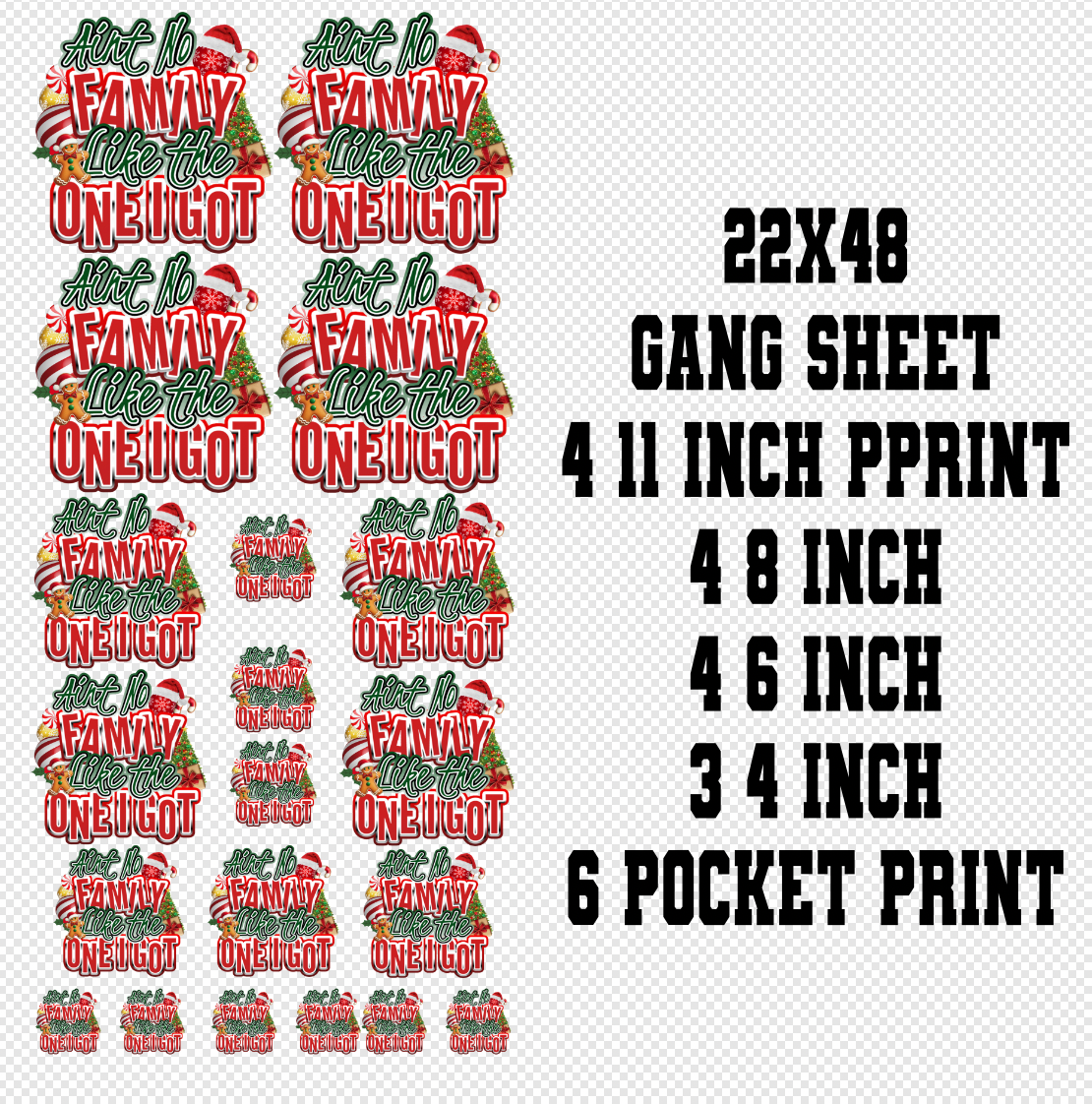 22x48 AINT NO FAMILY LIKE THE ONE I GOT Gang Sheet Transfer