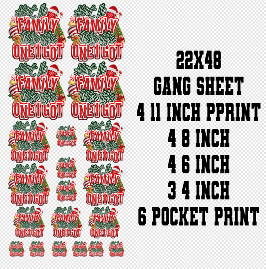 22x48 AINT NO FAMILY LIKE THE ONE I GOT Gang Sheet Transfer