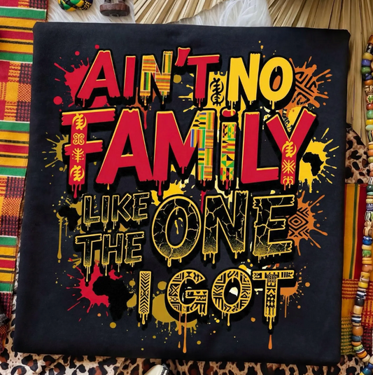 Ain't No Family Like The One We Got  DTF Transfer