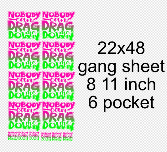 Drag you Down 22x48 Gang Sheet Transfer