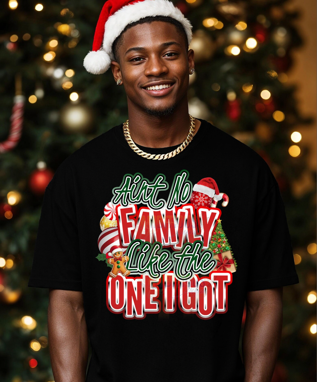 22x48 AINT NO FAMILY LIKE THE ONE I GOT Gang Sheet Transfer