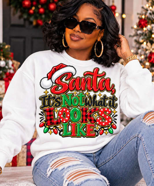 Santa, It’s Not What It Looks Like DTF Transfer