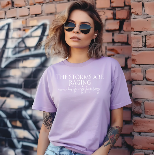 The Storms are Raging But its only Temporary  Screen Print