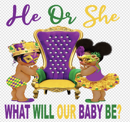 Mardi Gras Theme He or She what will our baby be ? Transfer